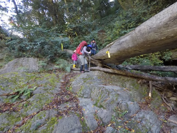 晨晨挑戰志陽佳大山 陡上1700欣賞20240819