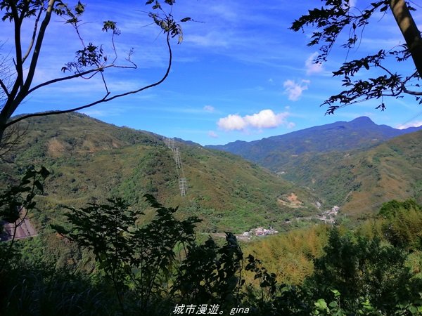 【新竹。關西】媲美高山美景。小百岳集起來。 編號25小百岳~石牛山步道1496835