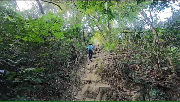 高雄 大社觀音山2960465