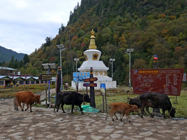 下雨崩、神瀑 2018/10/17482881