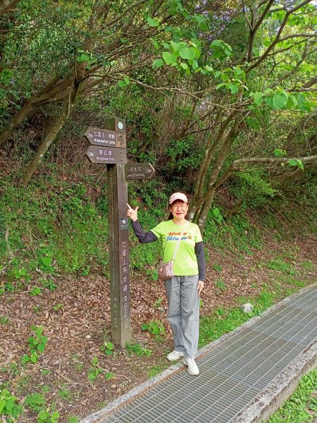 環七星山人車分道、百拉卡公路人車分道【走遍陽明山】2107411