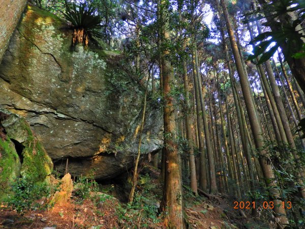 苗栗 南庄 加里山、哈堪尼山1304150