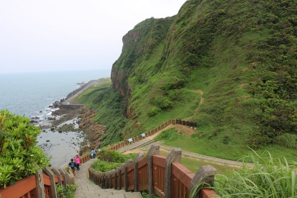 一路向海去~療癒的海景步道望幽谷濱海步道755014