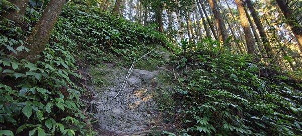 2025/12/06-光高天+南大龜+向天湖+三角湖山2957680