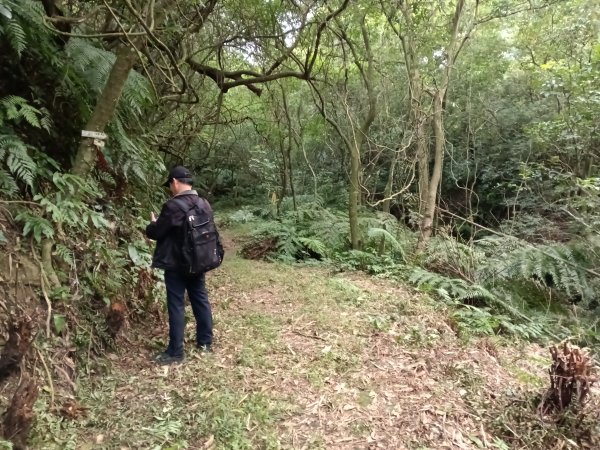 基隆市三層山+湳子大崙+淡基橫斷古道+面桶寮土地公2982211