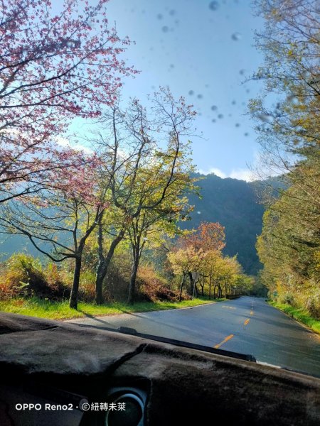 初訪玉山西峰915371