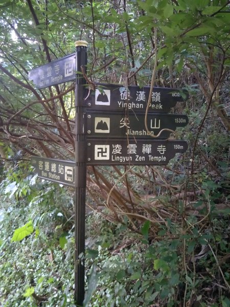 硬漢嶺步道(觀音山)1694066