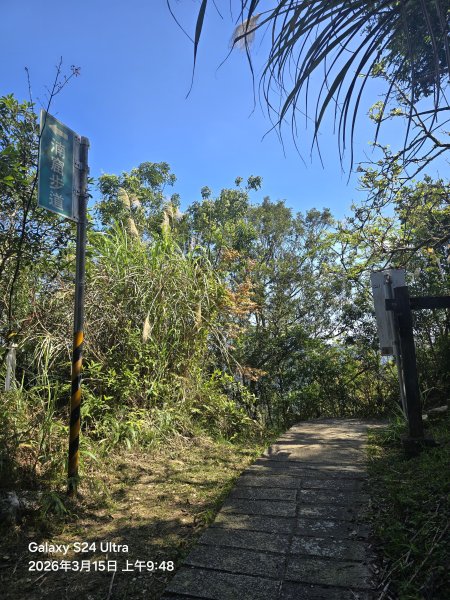 2026-03-15微笑山線：【二格山系】皇帝殿稜線段3016101