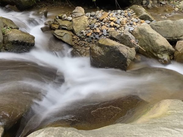 1100911嘉義獨立山步道（加映森鐵）1457517