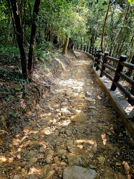 石光古道-2025森遊竹縣皮皮獅探險隊2889128