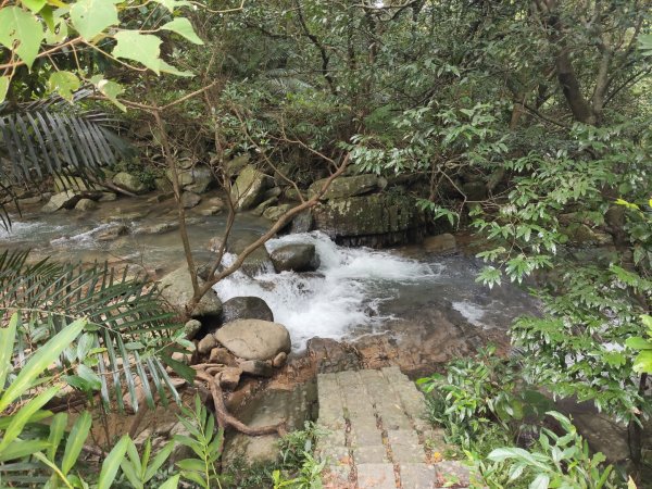 草嶺古道茫草祭2936603