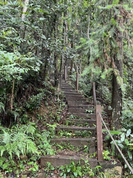 後尖山（小百岳）2577883