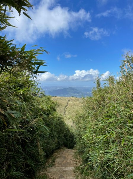 清天宮-面天山-向天山-向天池-興福寮O型1487114