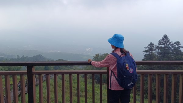 (姨婆趴趴走)第三十集:嘉義梅山太平雲梯、太平老街、太興岩茶園步道、龍王金殿2335384