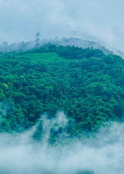 雨下的白毛山步道與白鹿吊橋2805312