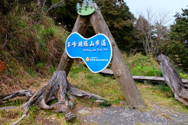 少了濃霧的翠峰湖環山步道805858