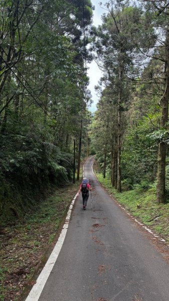 石龜山、叢雲山O走2592621