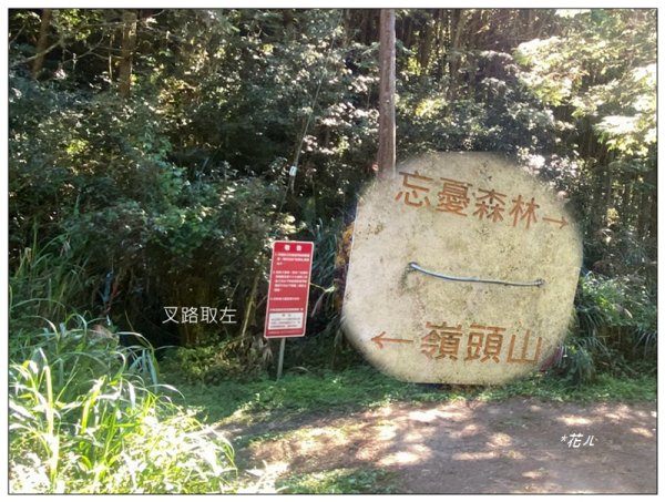 嶺頭山、金柑樹山、忘憂森林 O型一圈2944654