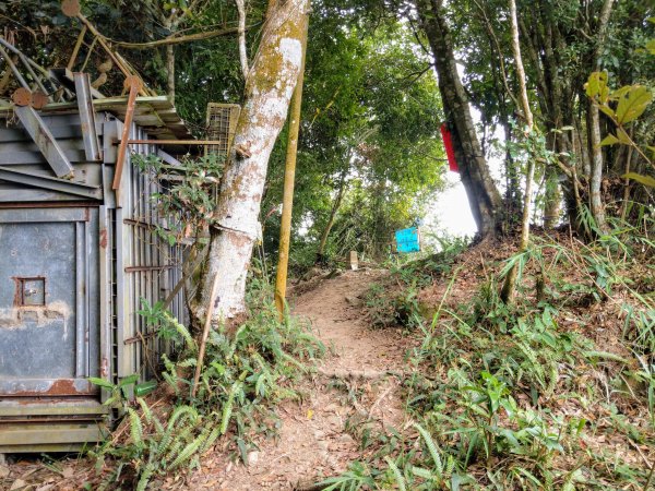 暗影山(小百岳#44)步道 2020/10/171429188