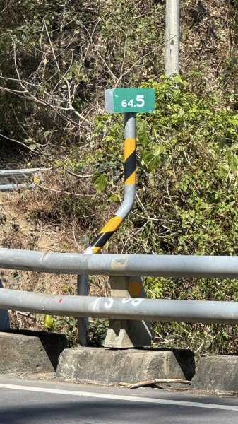 20260212 小百岳白雲山及西阿里關山3002919