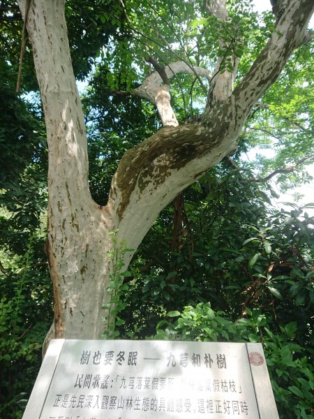 圓通寺步道1018250