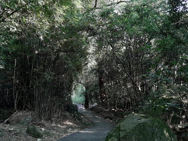 關渡親山步道｜雨過天晴 讓我們看雲去1434447