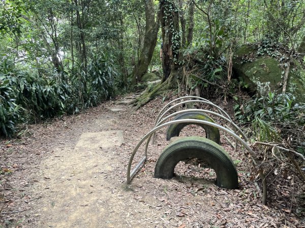 [微笑山線_第五段] 2025_0705 天上山系_南勢角山2830434