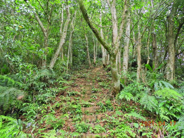 新北 坪林 開眼崙山1352161