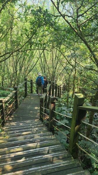 2025-0310臺北大縱走第七段2737267