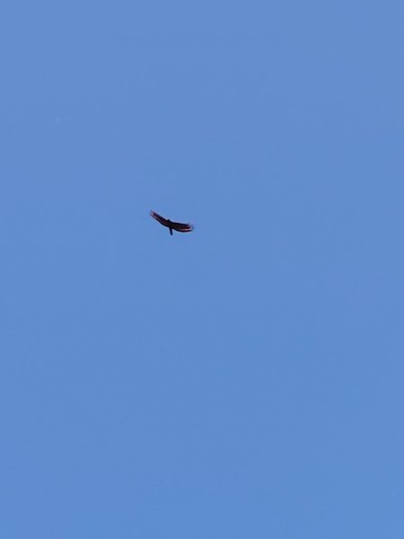 達娜伊谷-里美避難步道-巨石板步道-約富霓2788525