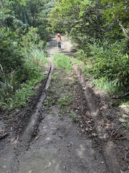 加奈美山 (開車富南上至2K水泥路尾起登)202609063118762