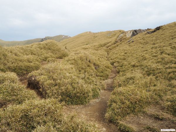 合歡山北峰20180315289143