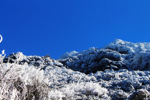 玉山  風雪後 , 另一番美景 !224458