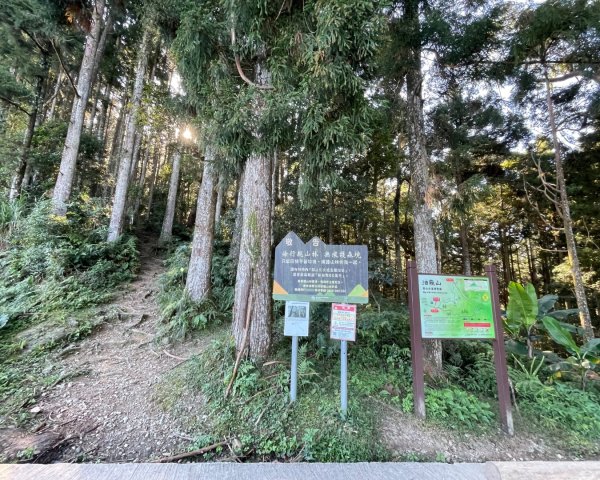 尖石🌳羅山林道野營-油羅山-竹苗小百岳3133105