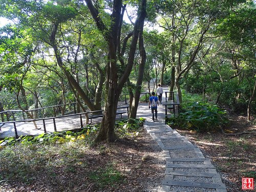 【桃園】虎頭山‧虎嶺迎風步道