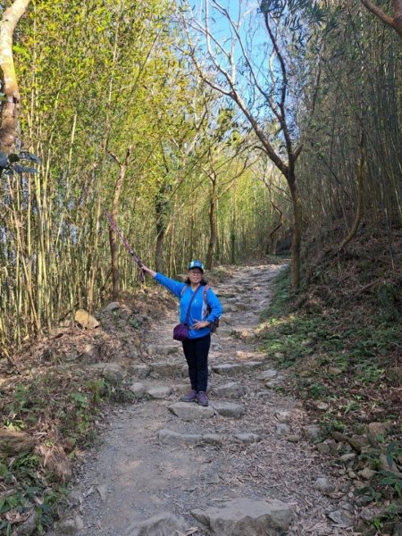 關子嶺大凍山（小百岳）+雞籠山2234591