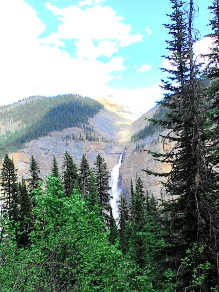 Iceline Trail (YOHO 加拿大幽鶴國家公園)2634583