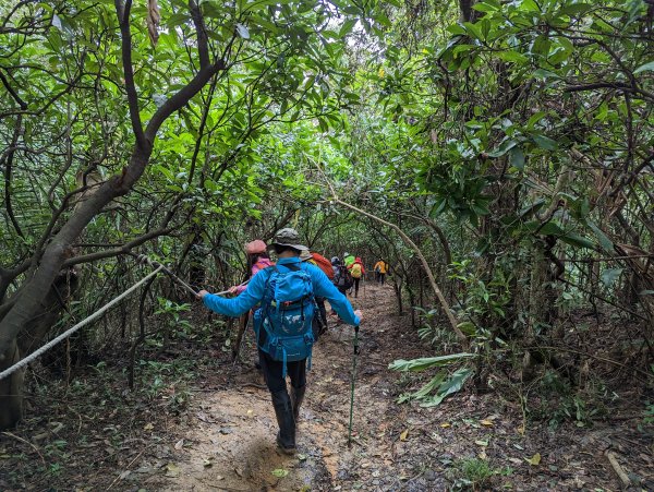 2023-02-11 槓子寮砲台、槓子寮山步道（龍崗步道）2792625