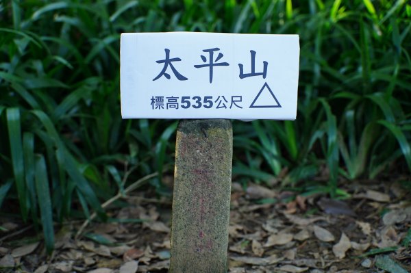 桃園 龍潭 太平山、清水坑山、石門山、小粗坑山、大竹坑山2977106