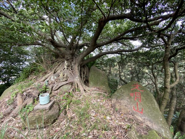 2024/01/16 鶯歌 大棟山 青龍嶺 新北市忠靈祠2429482