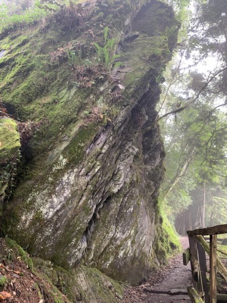 檜山巨木群步道2324144