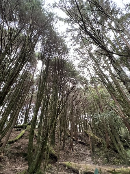 百岳-塔關山2695793