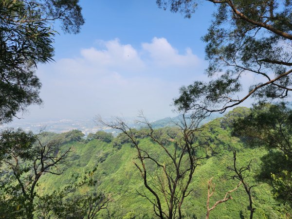 田中森林登山步道2411092