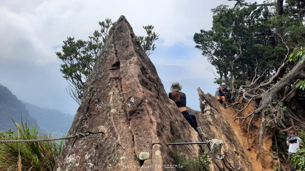 《新竹》斷崖神木｜北得拉曼步道小P繞202510172917520