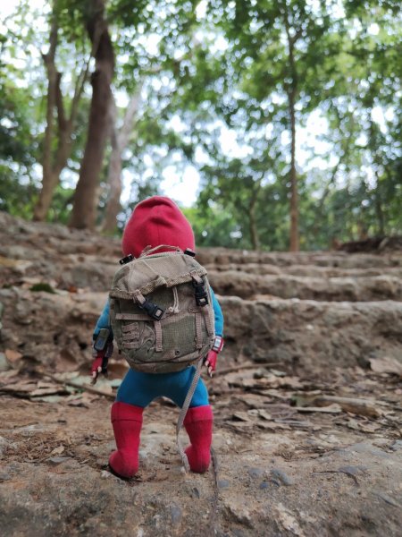 2023.12.24 高雄壽山2835323