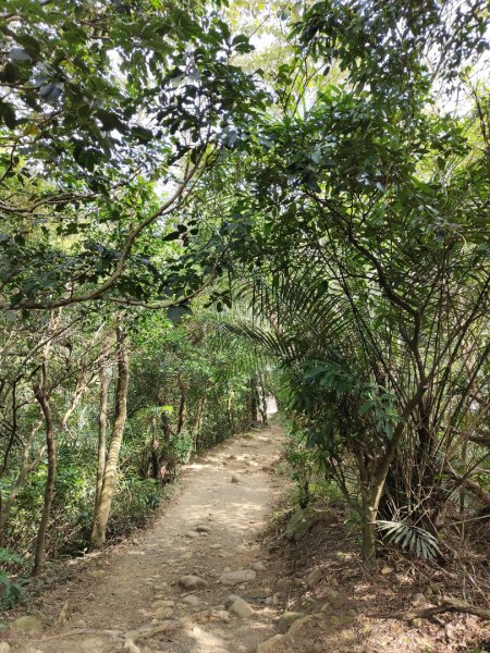 2024.01.02 飛鳳山2832154