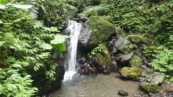 聖母山莊(抹茶山)1419276