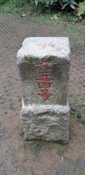 土地公後山1232695