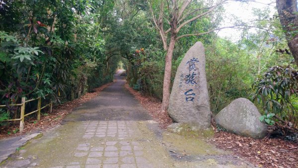 松柏嶺登廟步道1533851