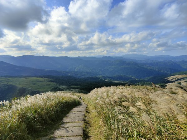 2023.11.23 桃源谷內寮線登灣坑頭山2503647